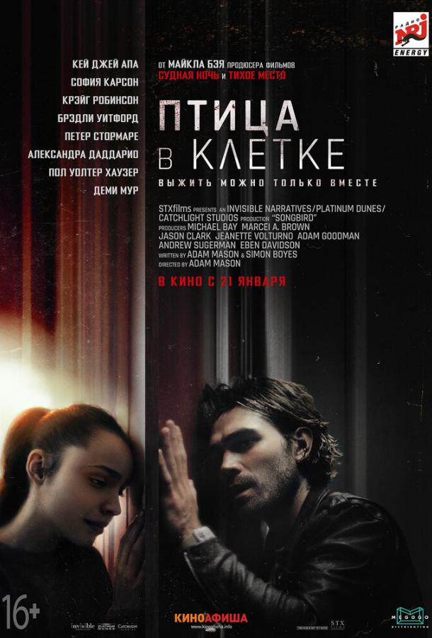 Фильм Птица в клетке (2020) смотреть онлайн в хорошем качестве